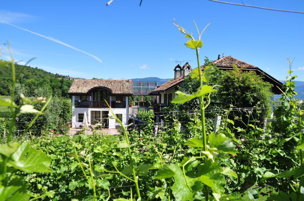 Weingut Weidlhof - Suite & Breakfast - Vacation For Wine Lovers Калдаро Екстериор снимка